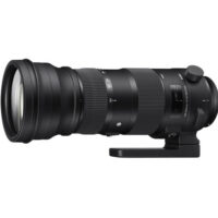 لنز سیگما Sigma 150-600mm F5-6.3 DG OS HSM S for Canon